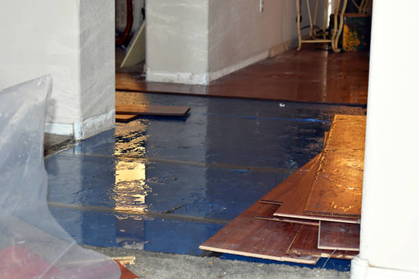 Professional Basement Flood Cleanup technician working in Cedarpines Park, CA